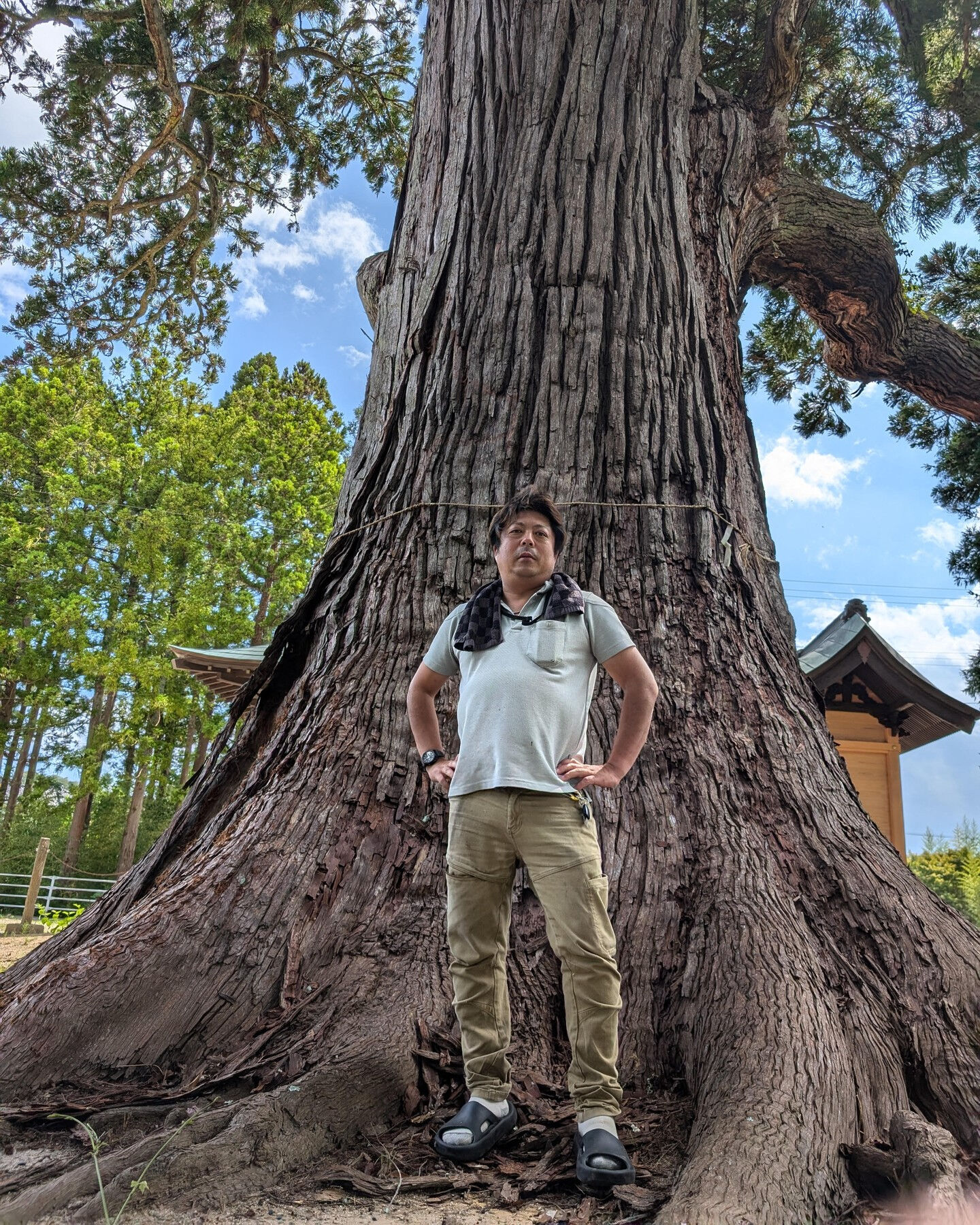 こんにちは！🌳