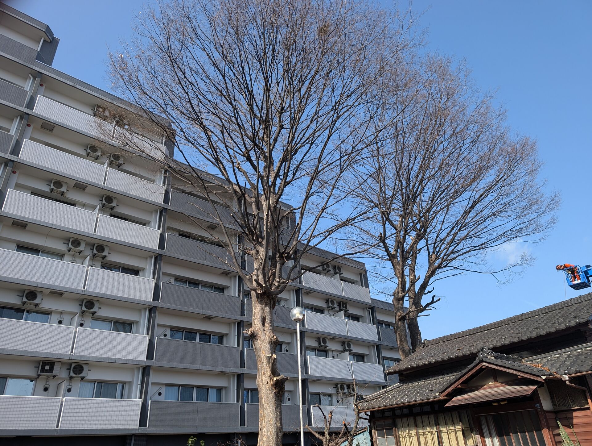 特伐!!かな