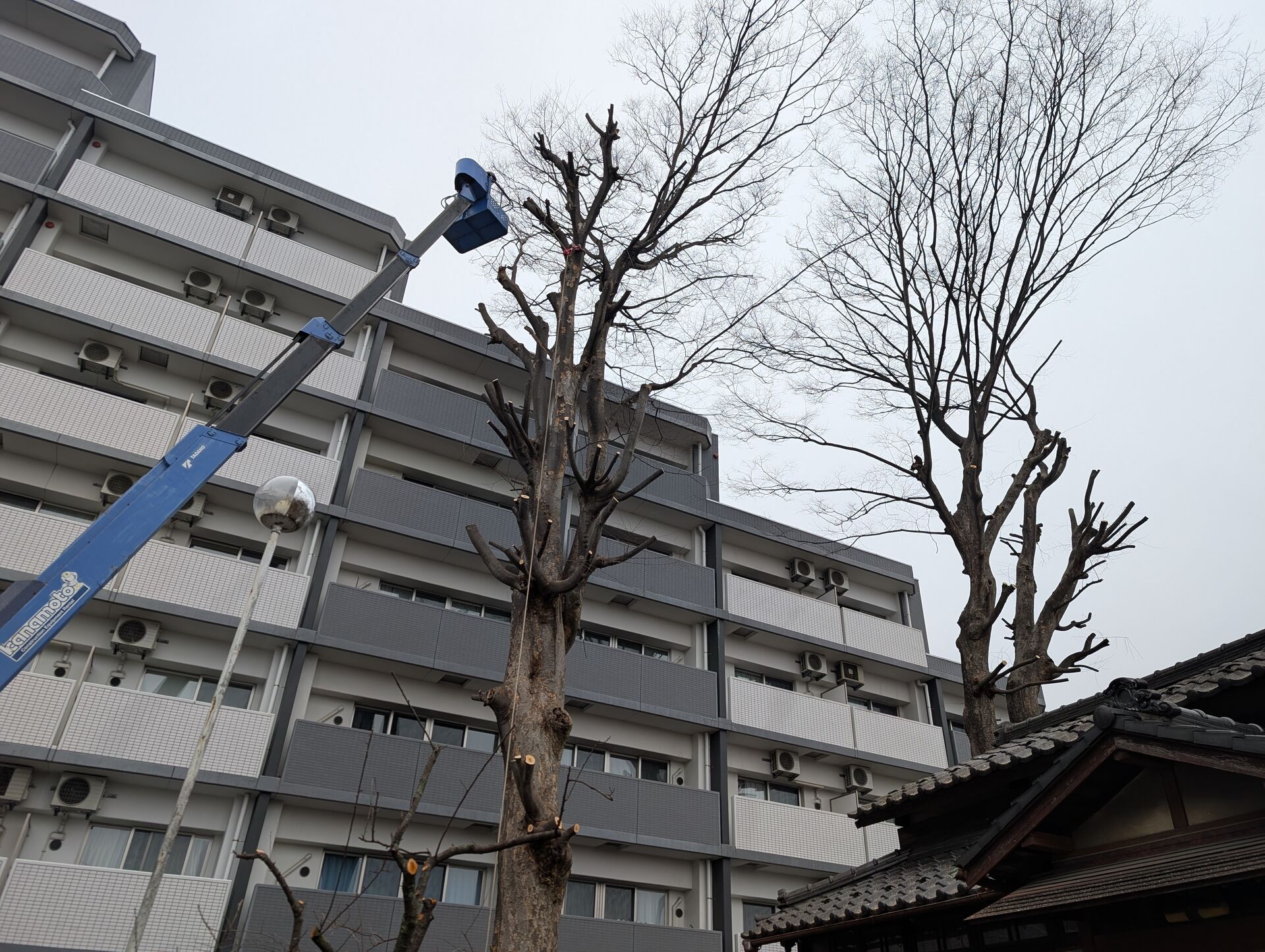 特伐!!かな